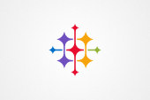 PSD Logo: Abstract Star Logo